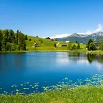Stump's Alpenrose 4*