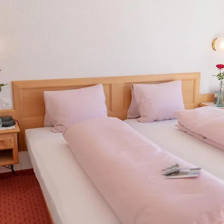 Otel Stump's Alpenrose Wildhaus