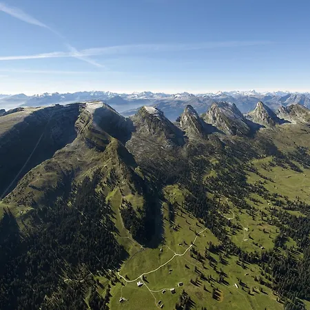 Stump's Alpenrose Otel 4*