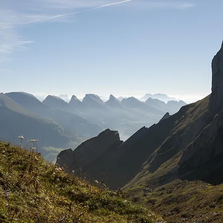 Stump's Alpenrose Wildhaus