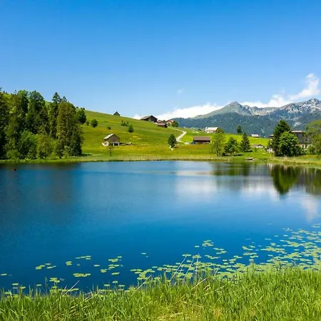 Stump's Alpenrose 4*