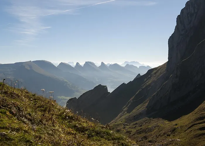 Stump's Alpenrose Wildhaus